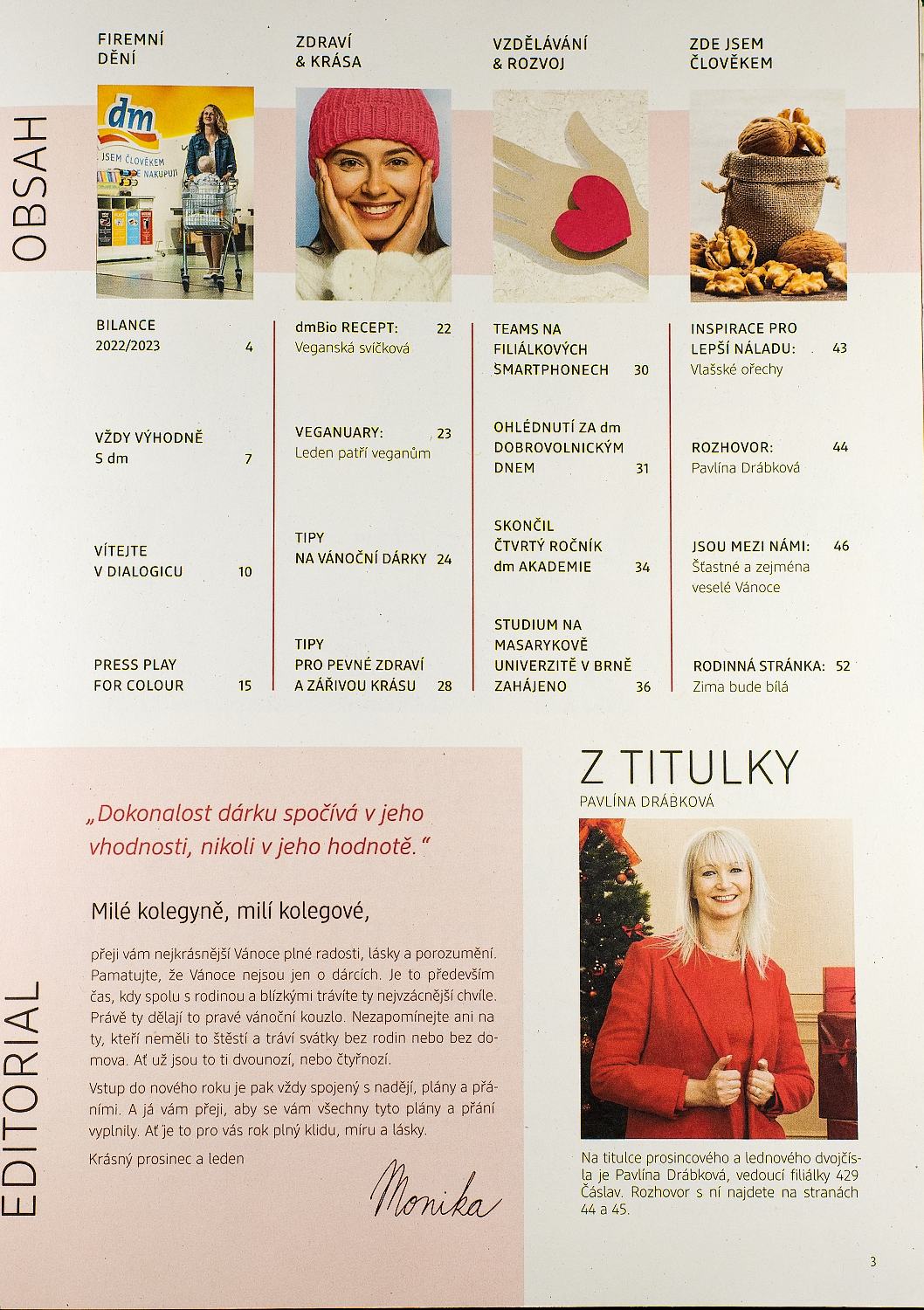 byznys portrét pro firemní magazín DM